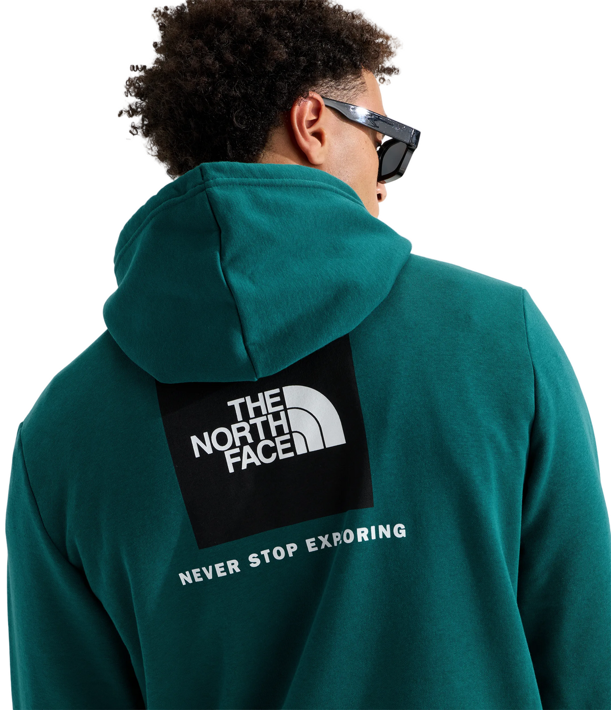 TNF Evolution Box NSE Regular Hoodie