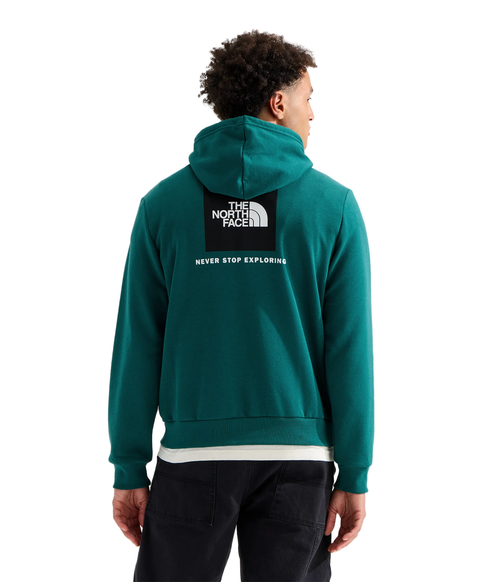 TNF Evolution Box NSE Regular Hoodie